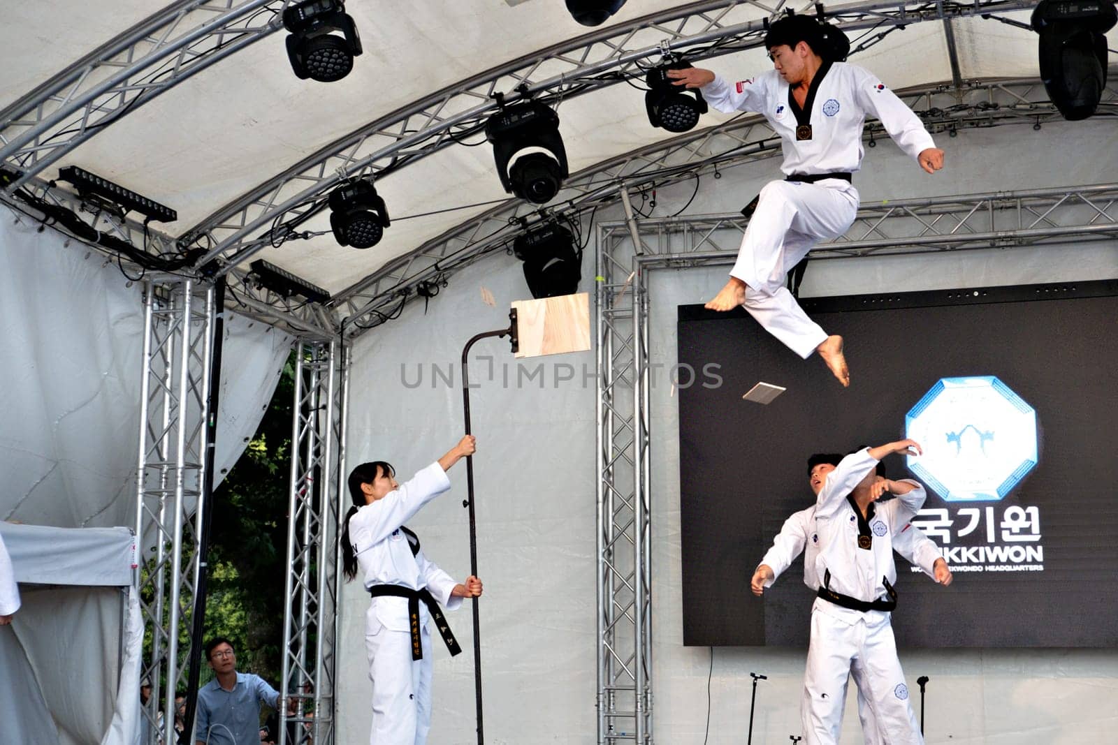 Frankfurt, Germany - August 26, 2023: people have fun visiting the Museumsuferfest - engl: festival of the Museums at the river - with performance of taekwondo.