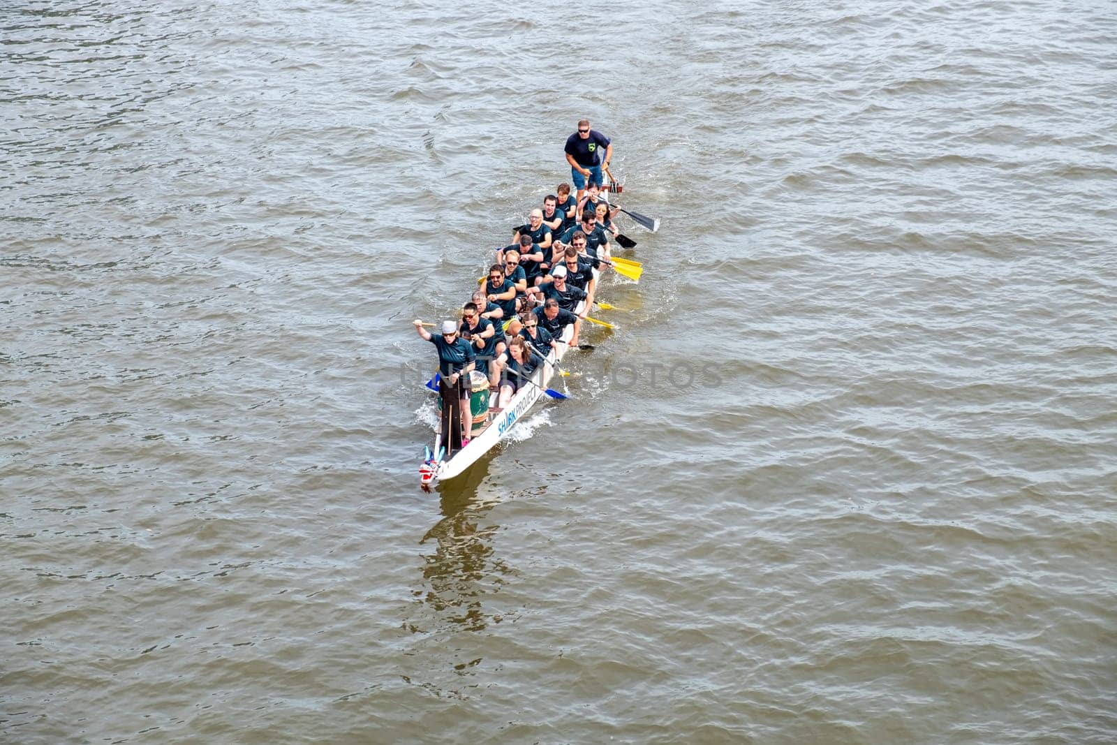 Frankfurt, Germany - August 26, 2023: people have fun visiting the Dragon boat race at the Museumsuferfest - engl: festival of the Museums at the river - in Frankfurt.