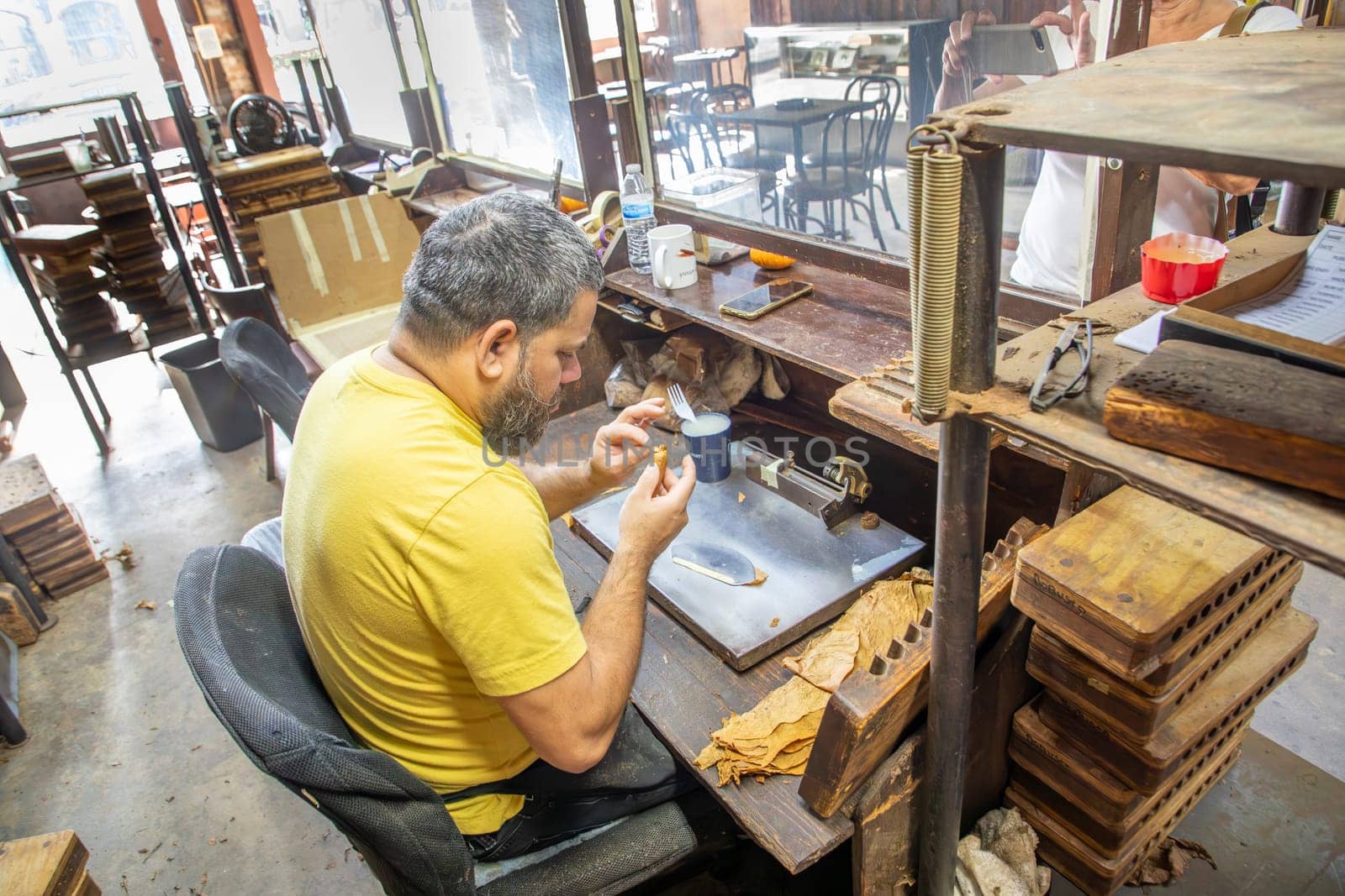 New Orleans, USA - October 25, 2023: cigar maker rolls the leaves of dried cuban and american tobacco to a cigar.
