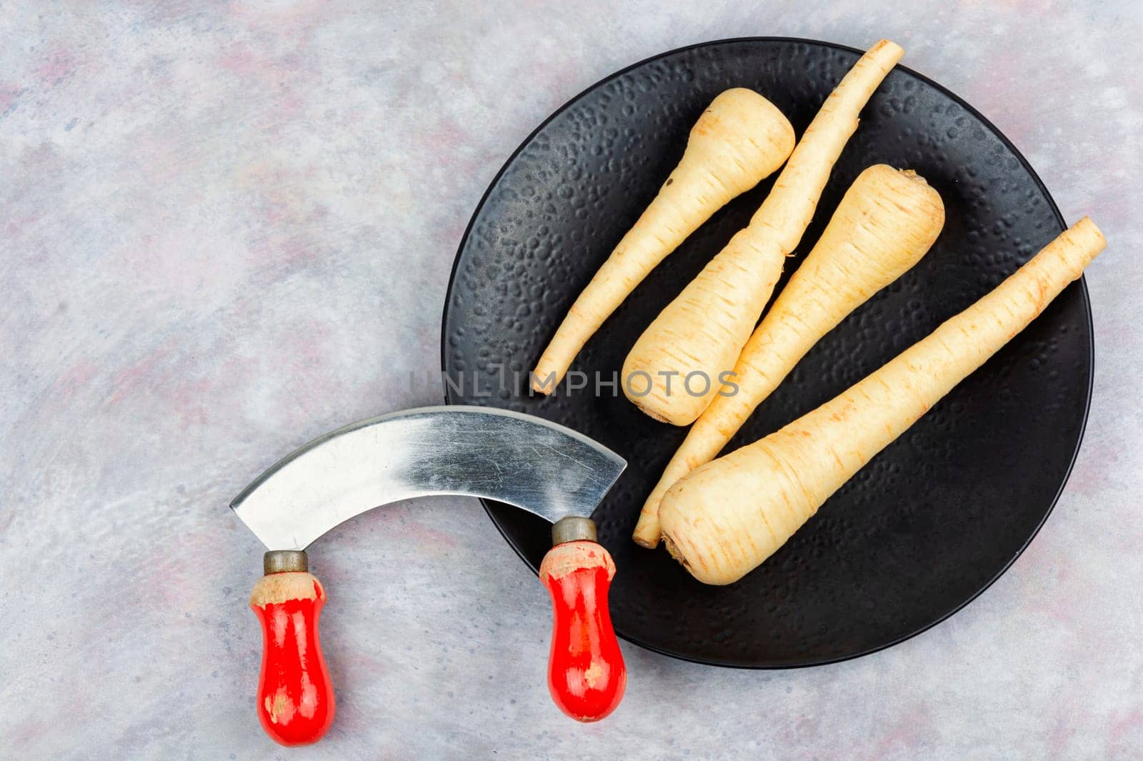 Raw parsnips roots and knife on the kitchen table