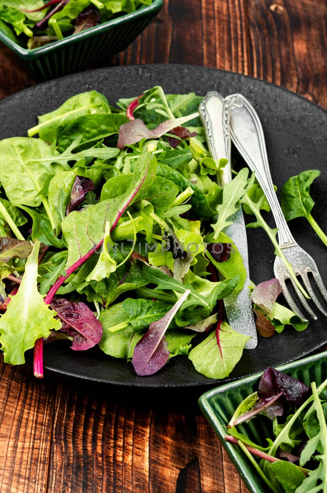 Natural salad of fresh spring greens, herbs and lettuce on a plate. Mixed greens.