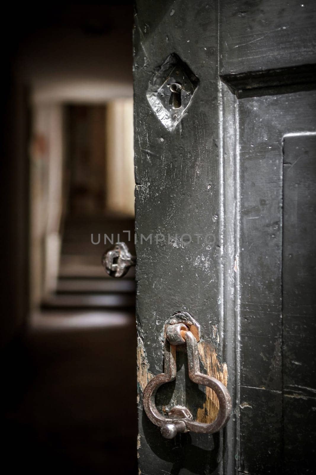 Ancient open door. Wooden door. Details of retro knocker. Blurred indoor.