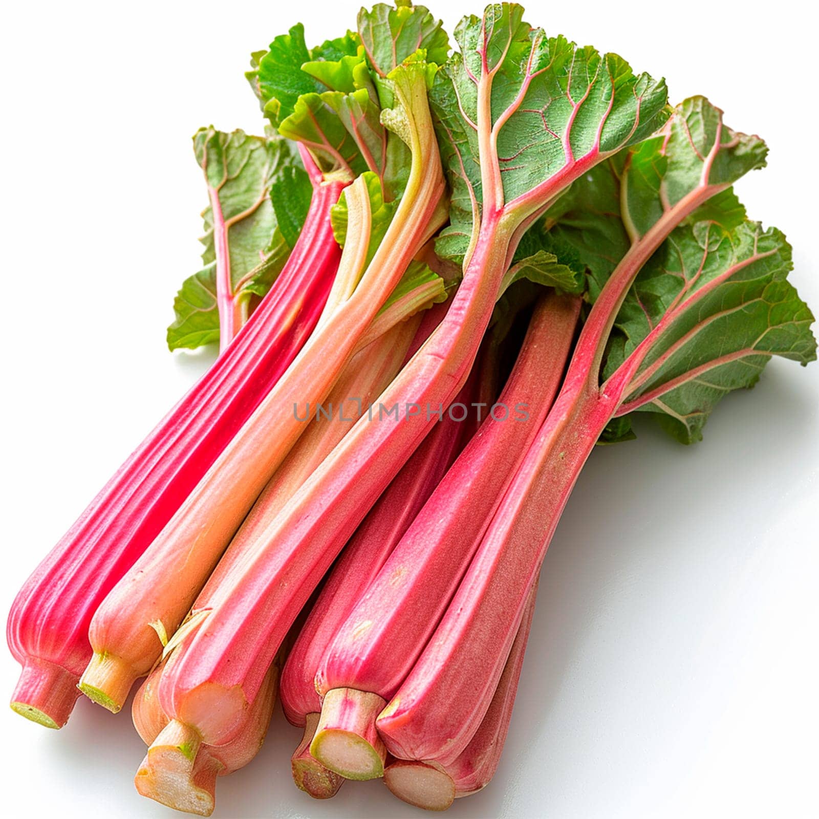 Rhubarb on a white isolated background AI generated image