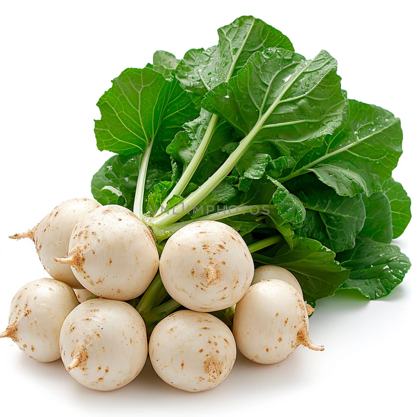 Garden crop, turnip vegetable on white isolated background AI generated image