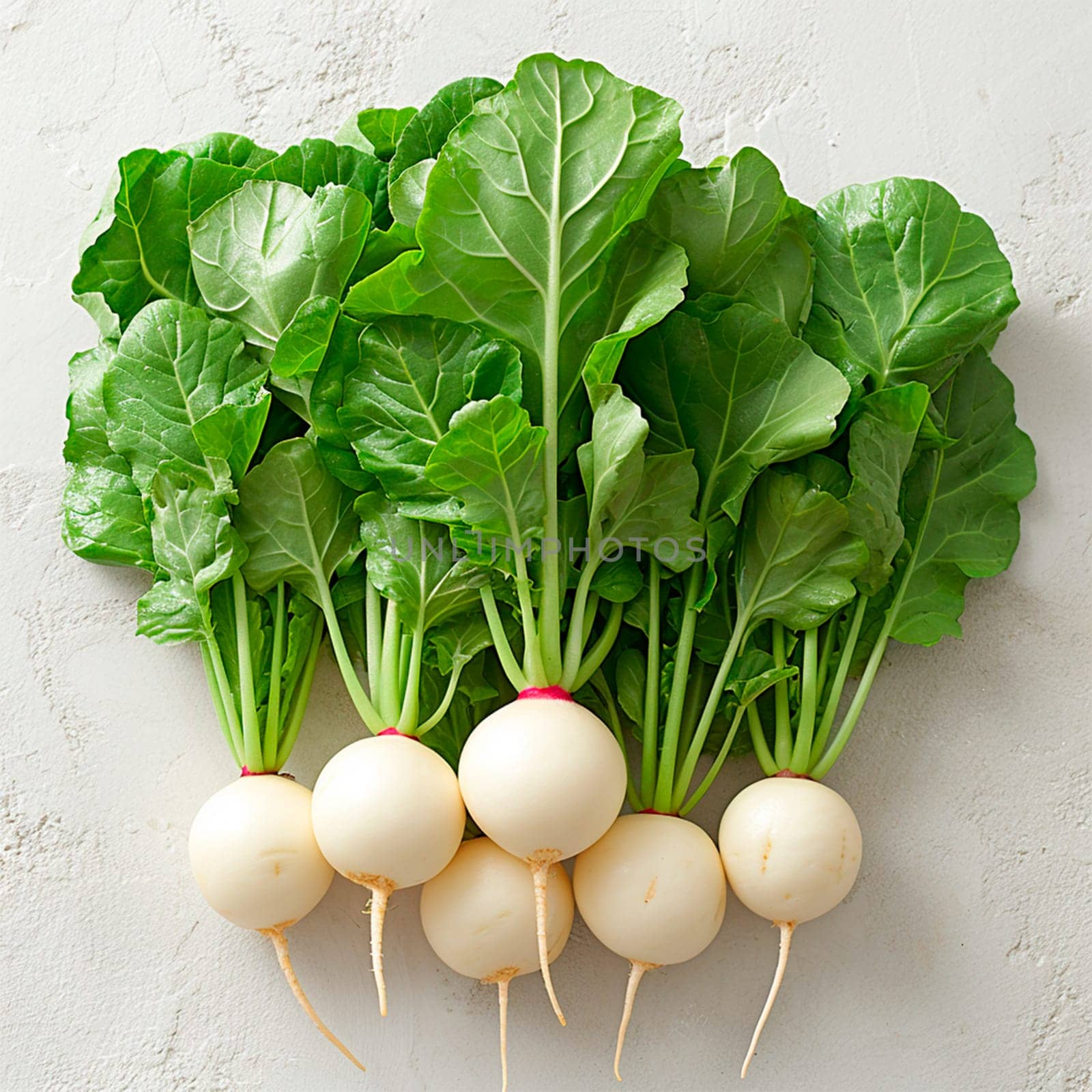Garden crop, turnip vegetable on white isolated background AI generated image