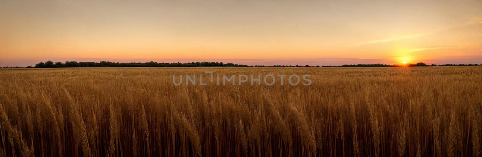 Tranquility of a vast wheat field at sunset, with the warm tones of the sky mirroring the golden hues of the ripe crops