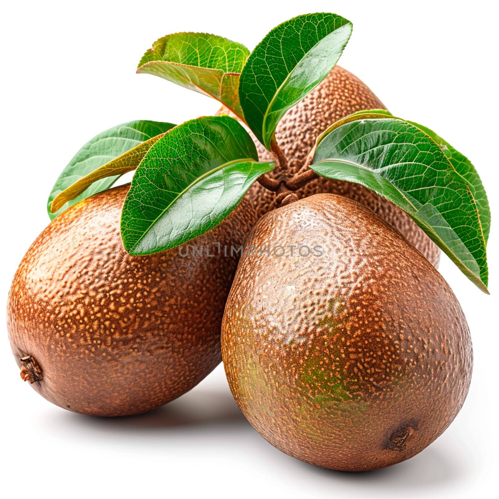 Exotic sapodilla fruit on white isolated background AI generated image