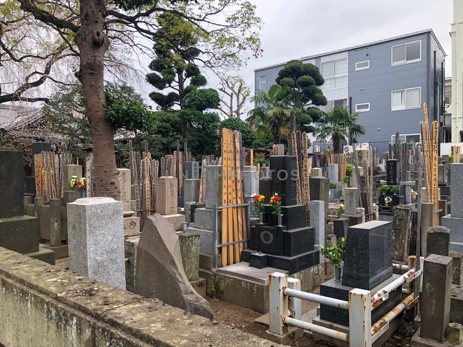Tokyo, Japan - March 17, 2023: old typical japanese cemetery with japanese shrines in Tokyo.