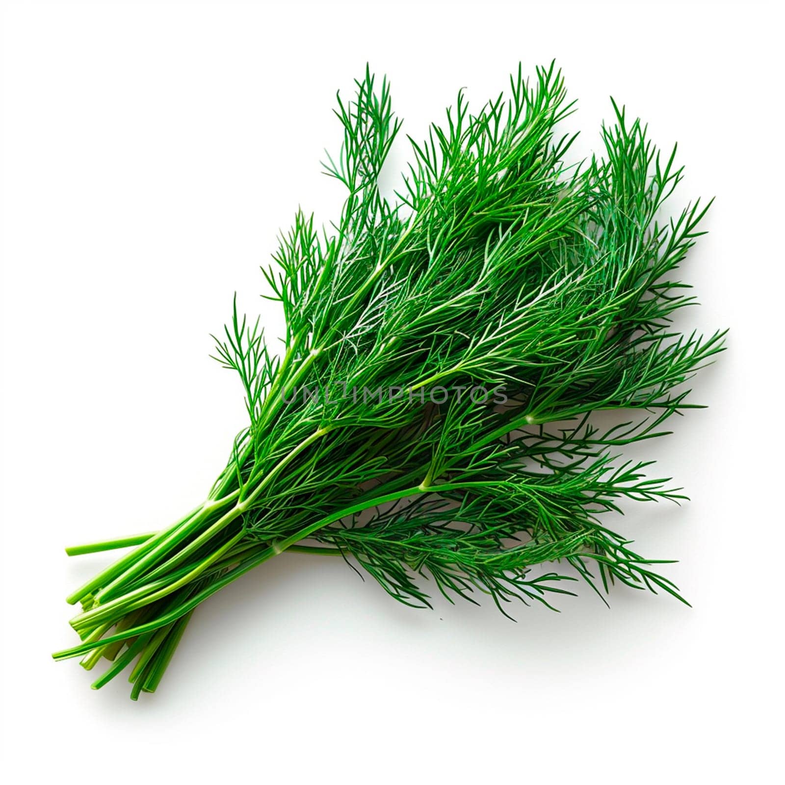 Dill, salad greens, white isolated background AI generated image