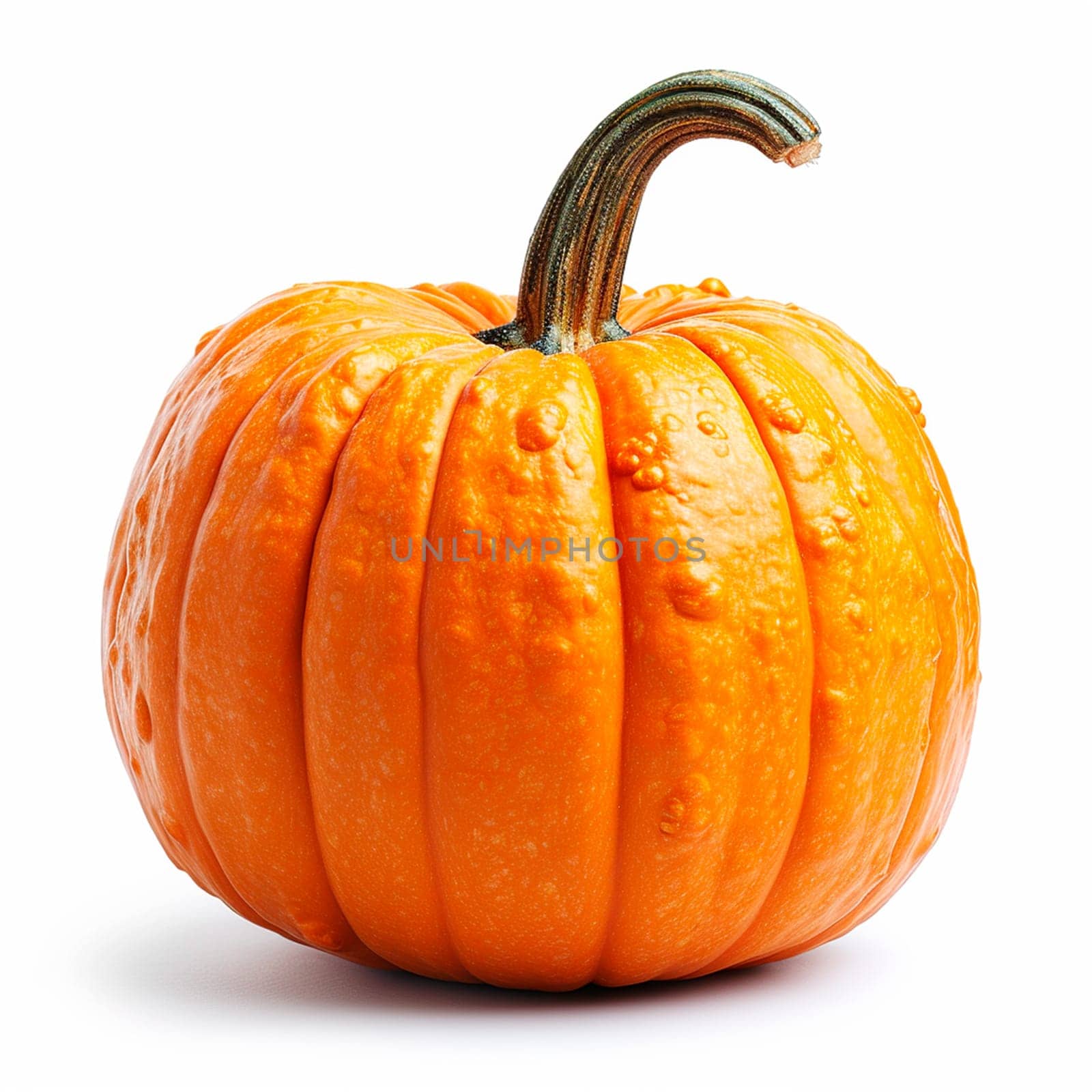 Studio shot of a beautiful decorative pumpkin on a clean white isolated background AI generated image