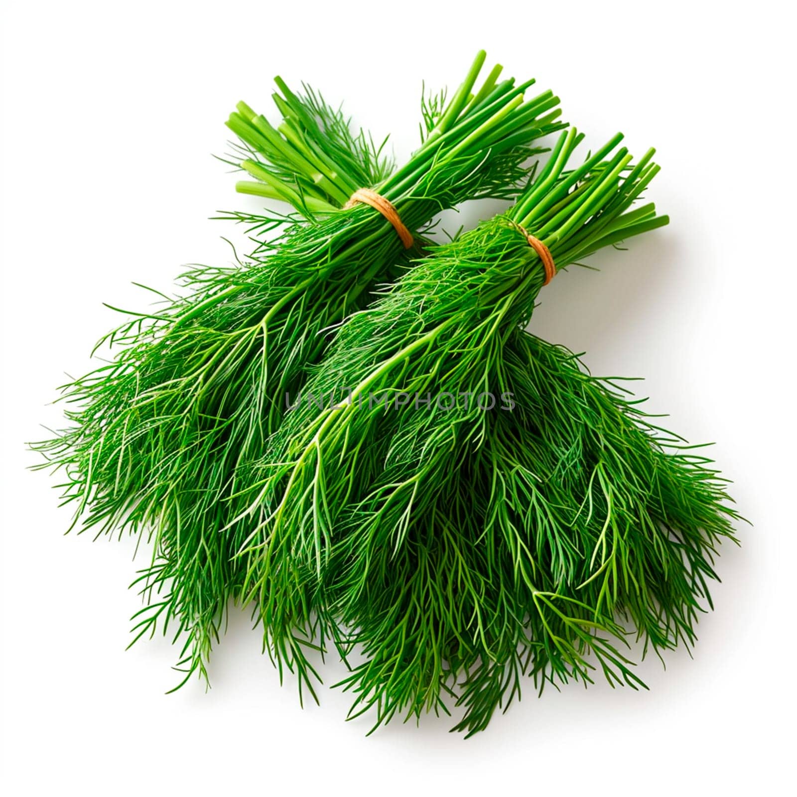 Dill, salad greens, white isolated background AI generated image