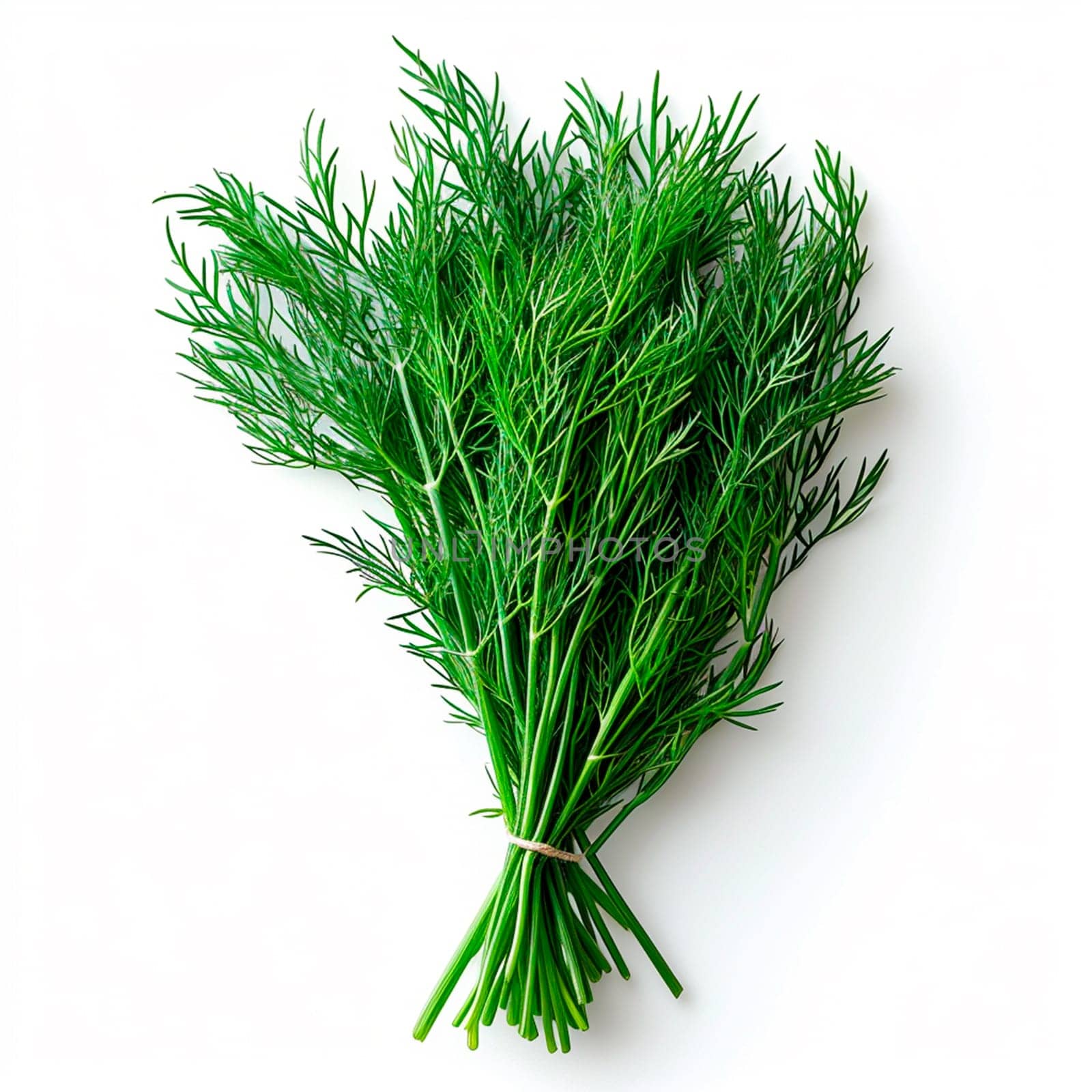 Dill, salad greens, white isolated background AI generated image