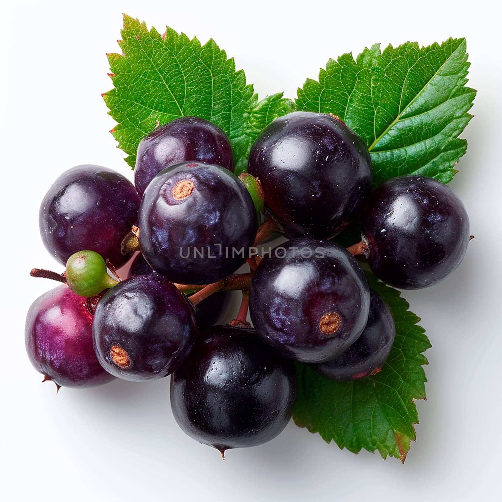 Black currant berries on a white isolated background AI generated image