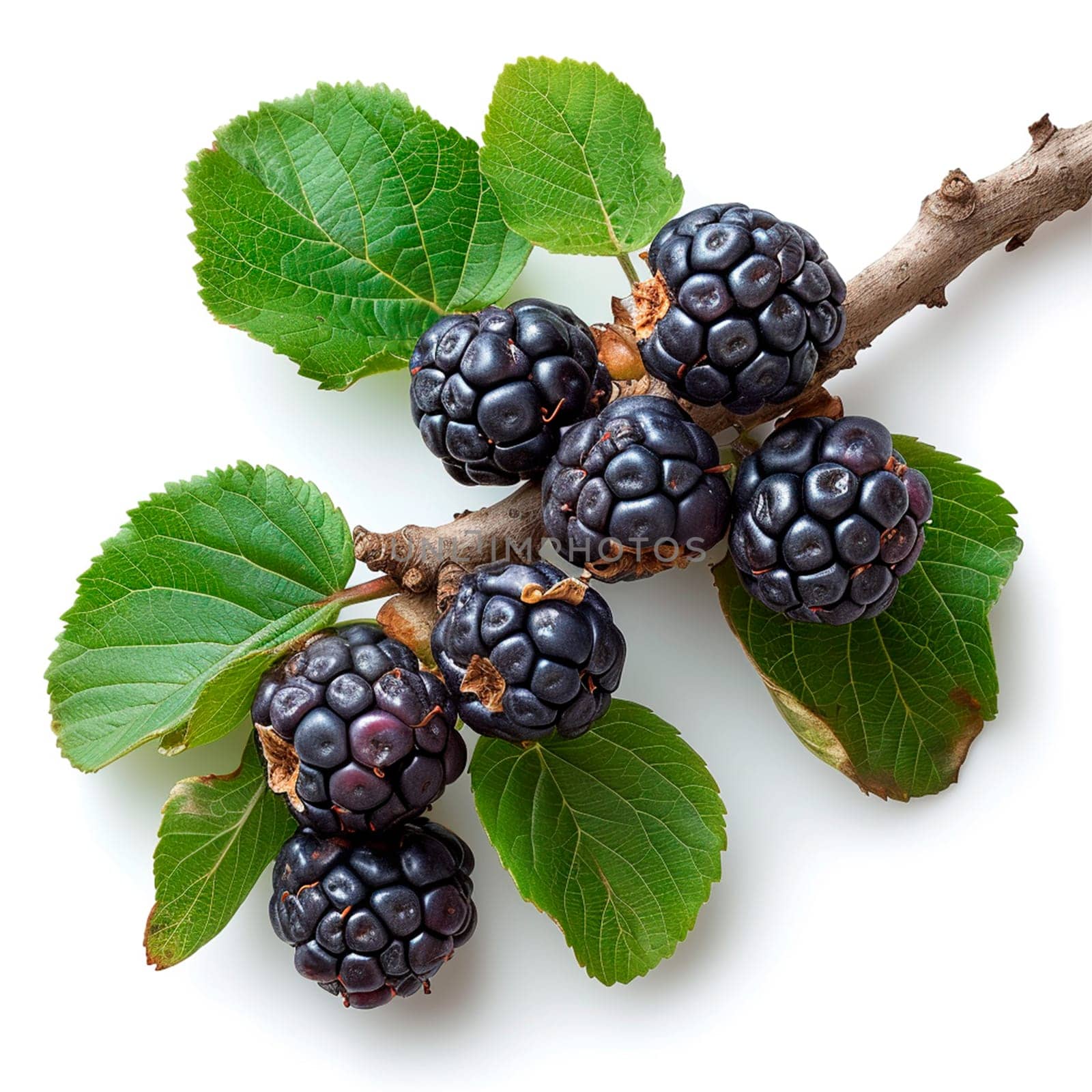 Ripe and tasty black mulberries on a white isolated background AI generated image