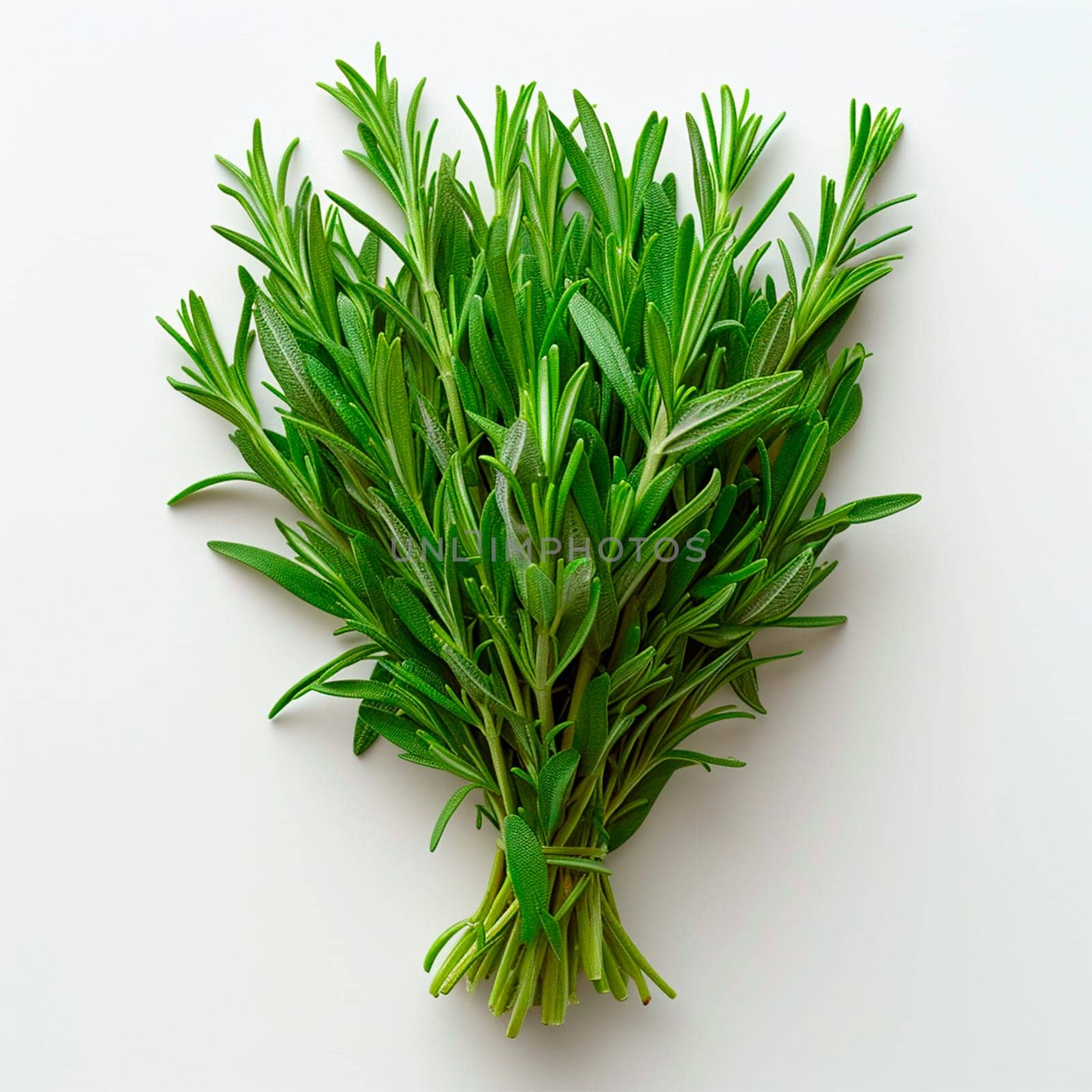 Tarragon spice on white isolated background AI generated image
