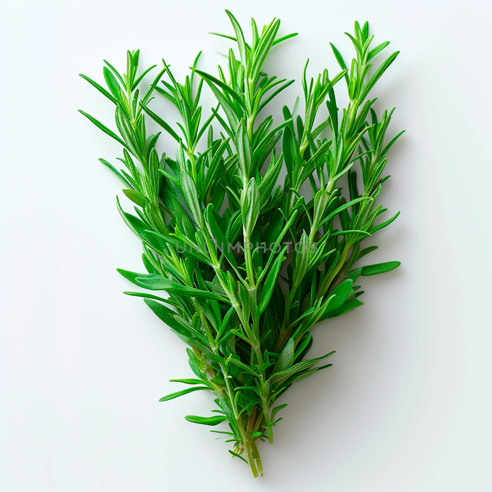 Tarragon spice on white isolated background AI generated image