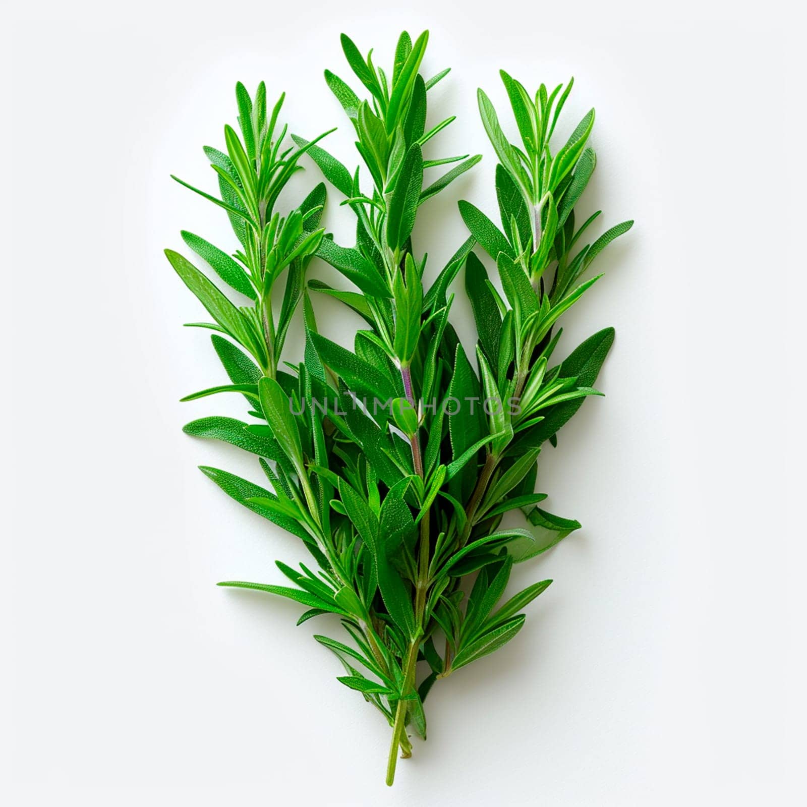 Tarragon spice on white isolated background AI generated image