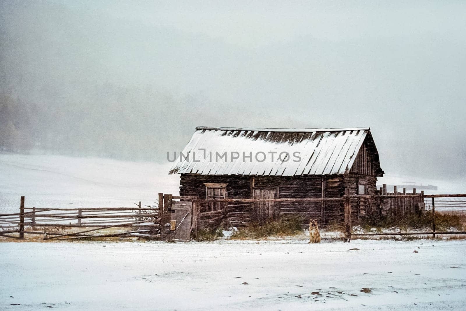Wooden house in a snowstorm, The dog on the street is waiting for the owner