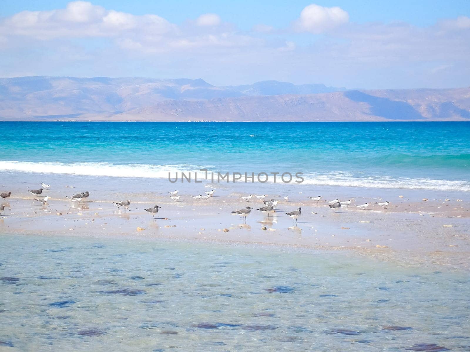 Sea coast of Yemen, empty sea beach. Sea coast of Yemen, empty sea beach.