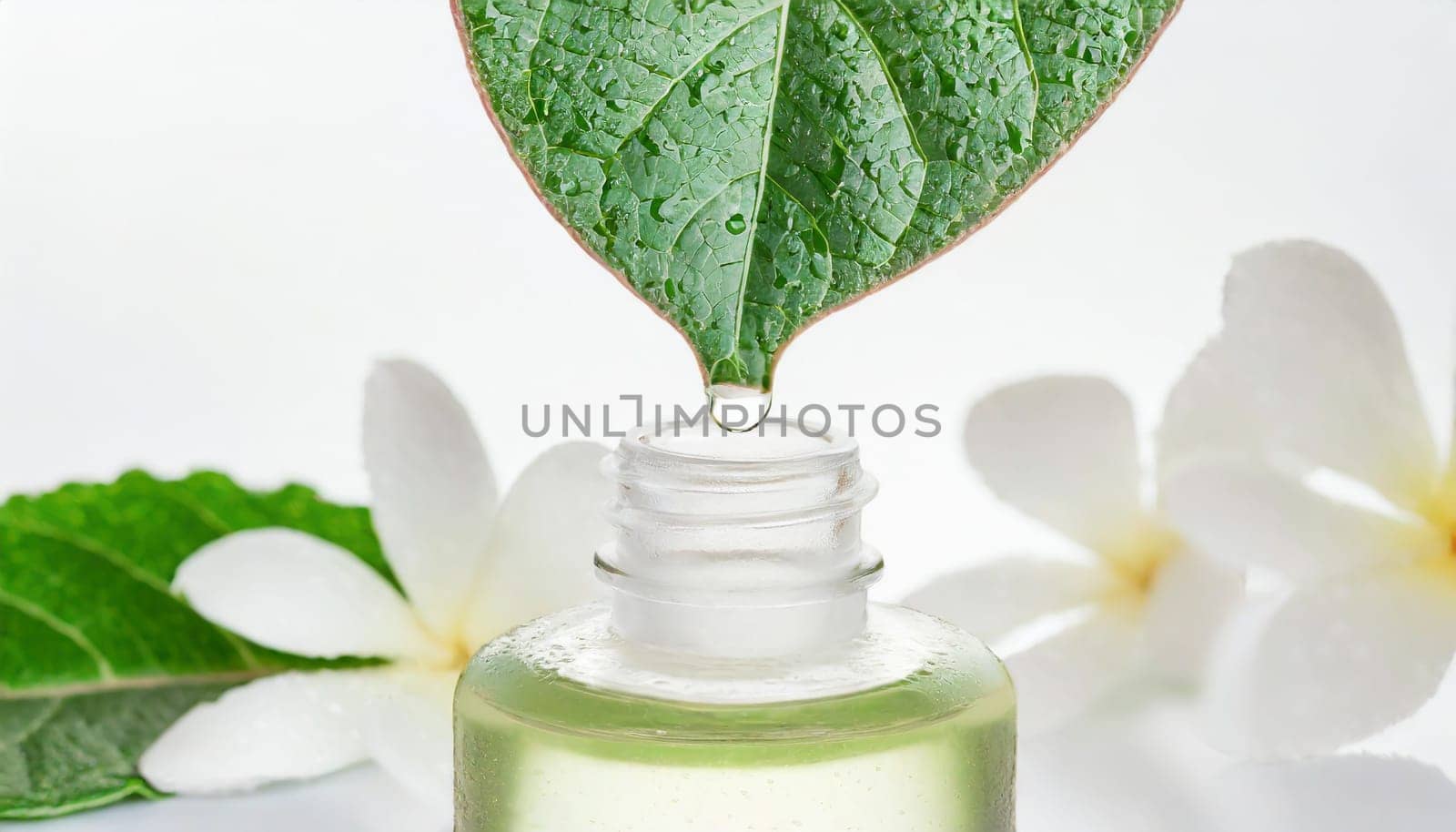 Herbal essence. Alternative healthy medicine. Skin care. Essential oil or water dropping from fresh leaf to the bottle.