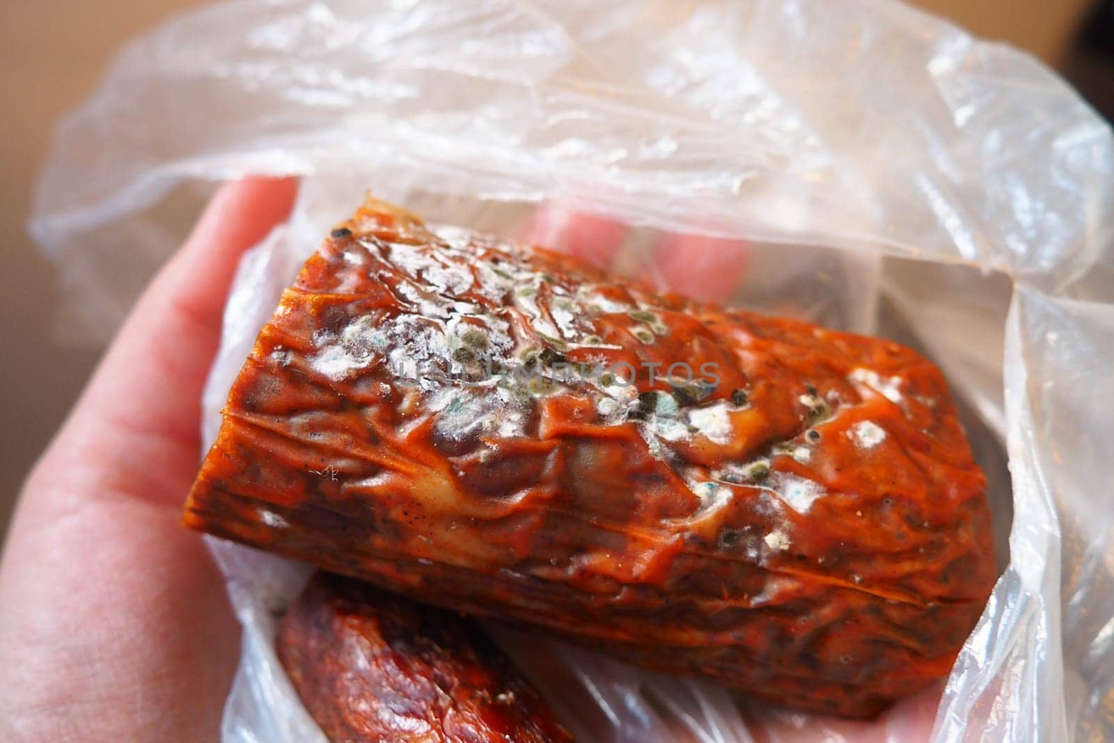 Raw smoked sausage became moldy while it was in a plastic bag. A mold or mould. The dust-like, colored appearance of molds is due to the formation of spores containing fungal secondary metabolites