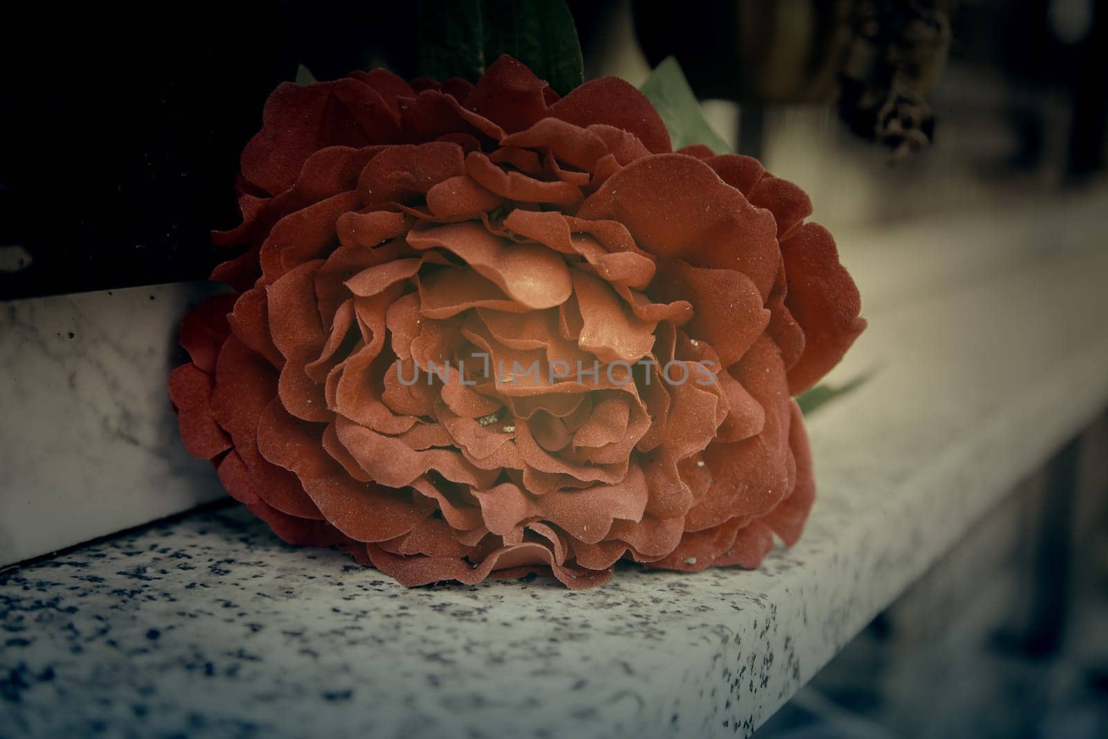 Detail of old bouquet of flowers, romantic gift