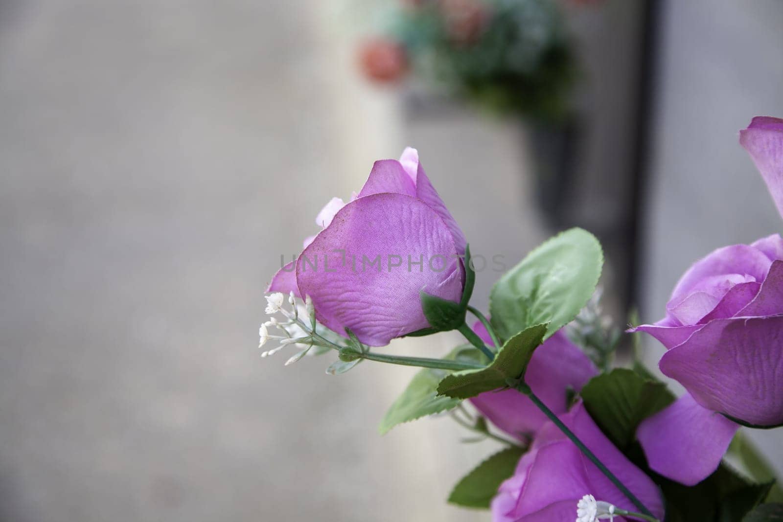 Detail of fresh flowers in a tribute for a death