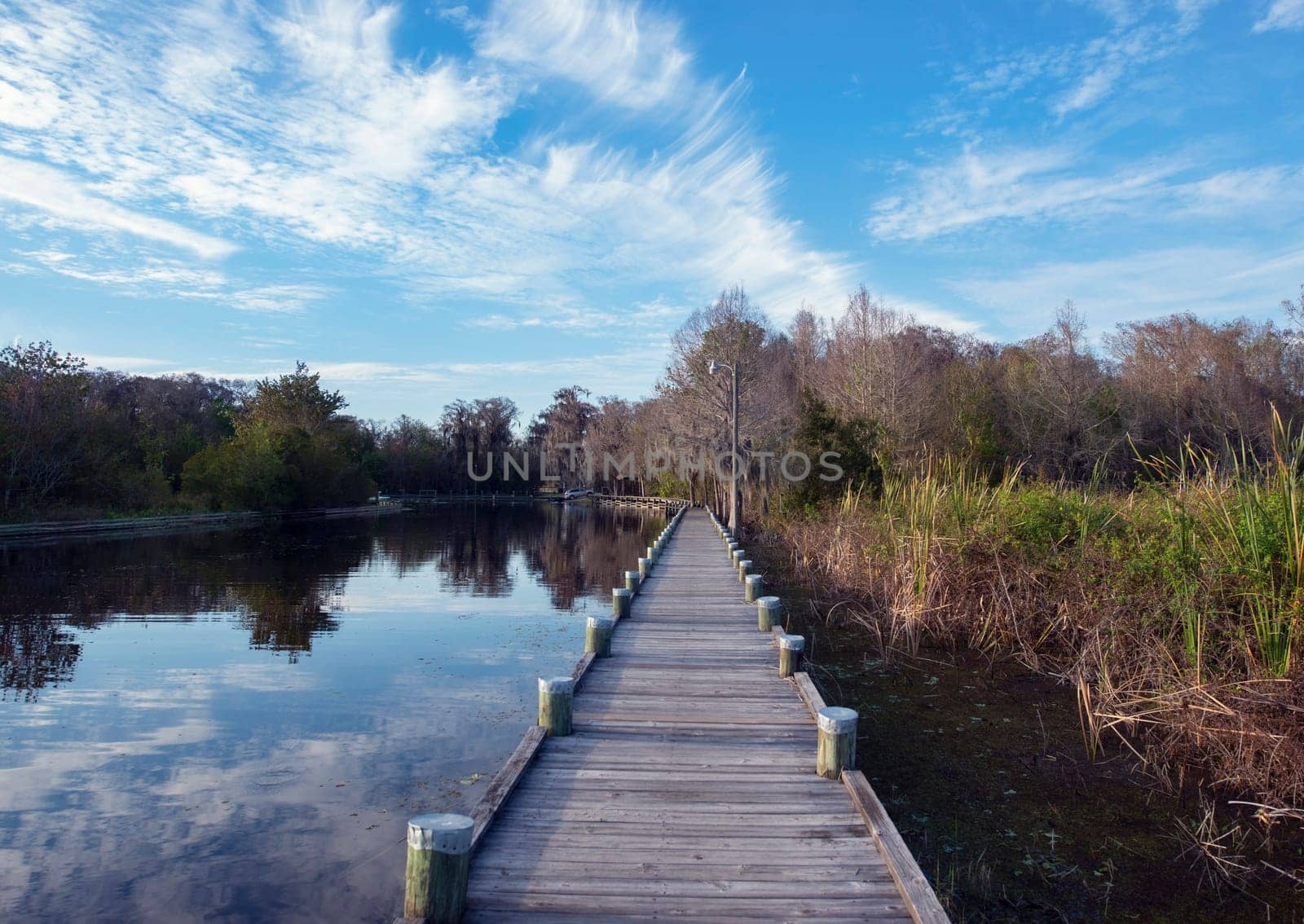 Wooden Walkway in Florida Park along Lake