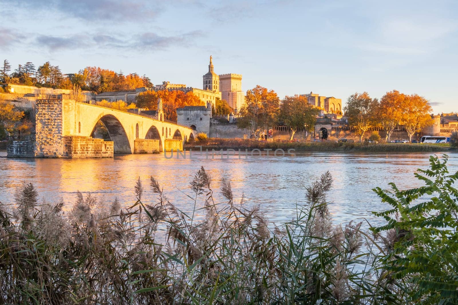 Avignon city and his famous bridge, medieval Papal city on the Rhone River. Photography taken in France