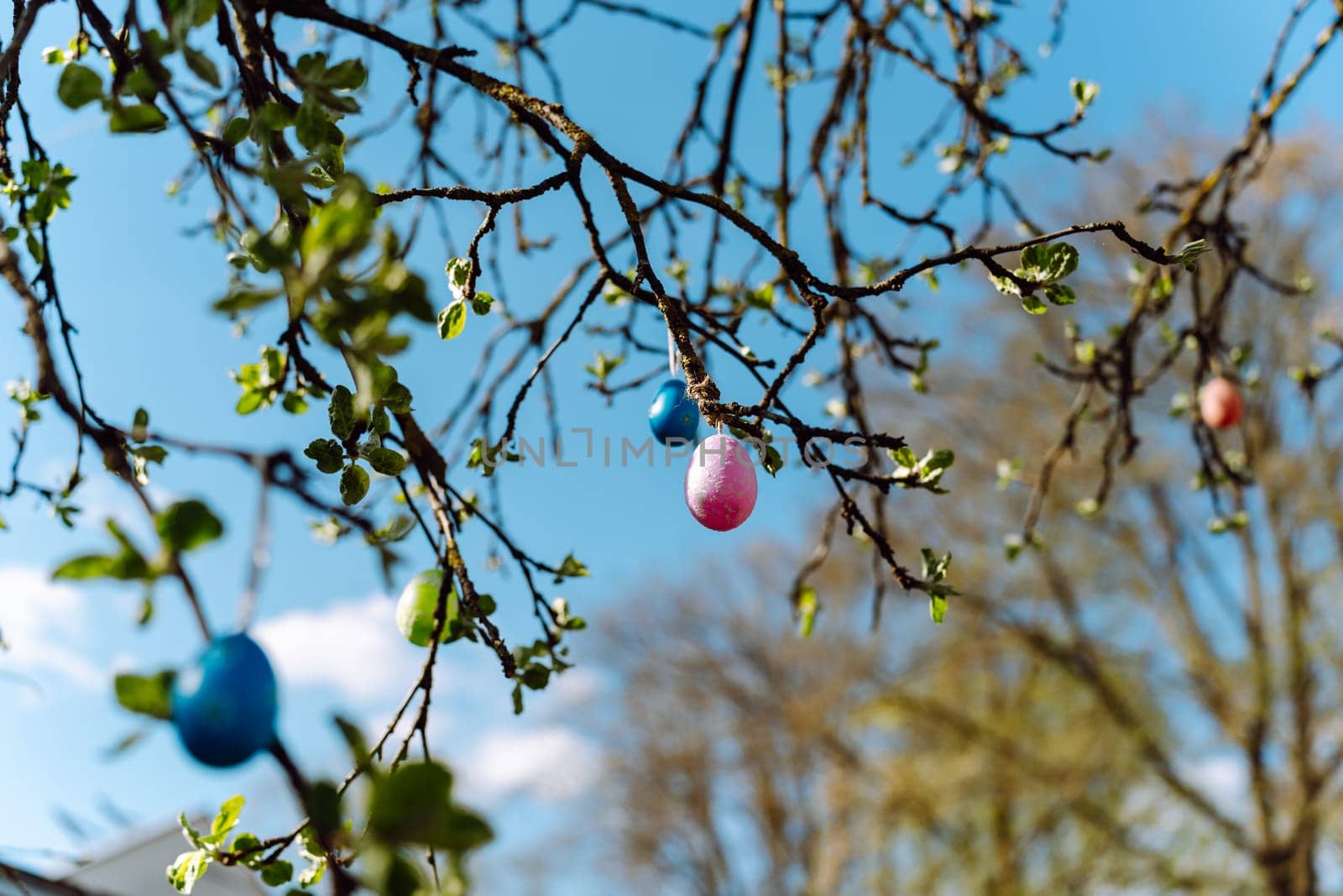 Tree branches in spring with colorful Easter eggs hanging on them.