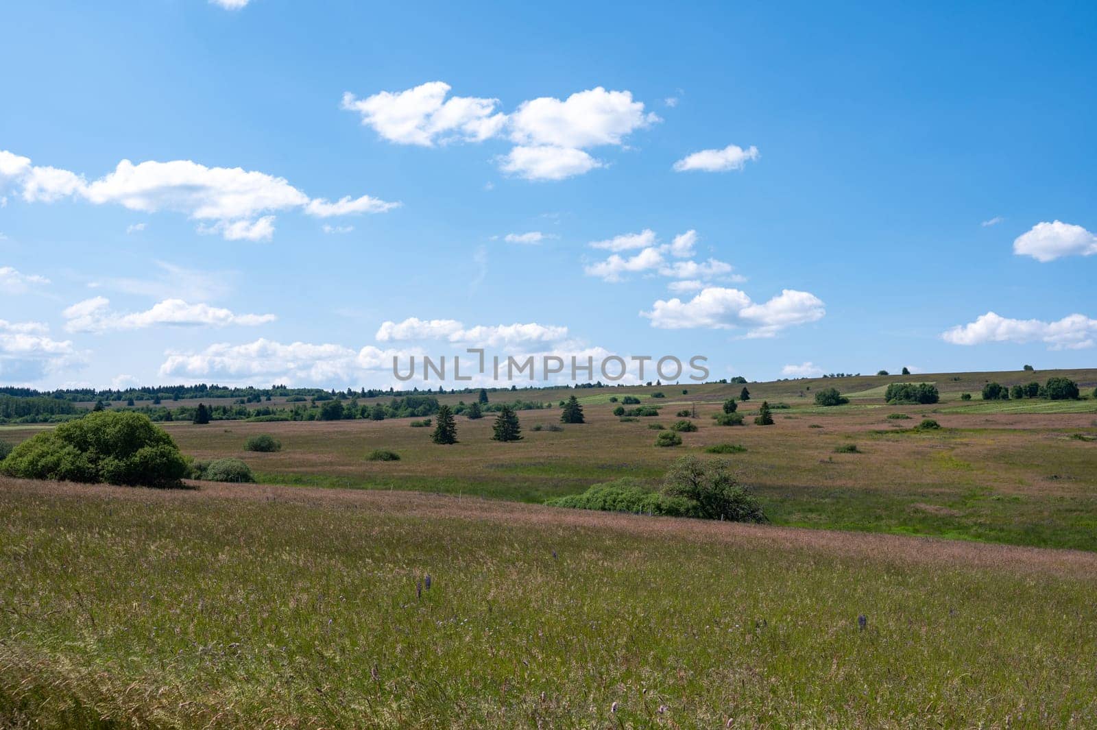 Landscape in the high Rhoen, Bavaria, Germany
