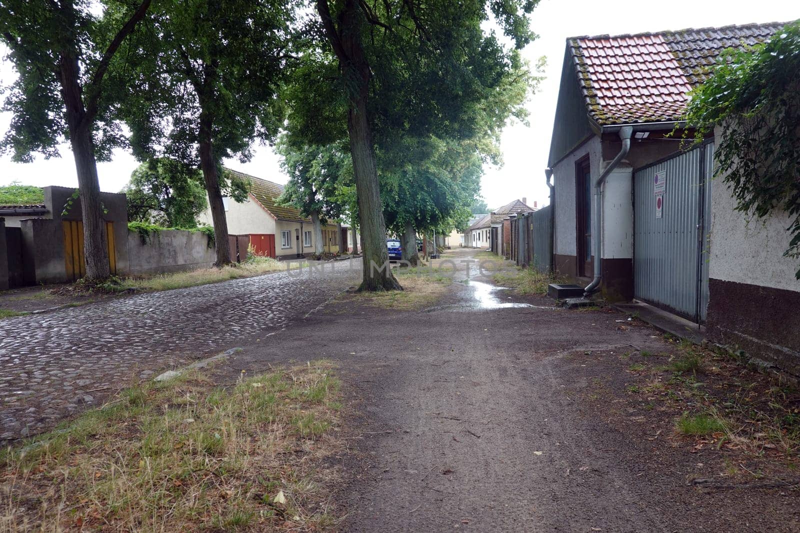 nicht asphaltierter Gehweg an einer Kopfsteinpflaster-Strasse, Brandenburg, Deutschland, Rheinsberg