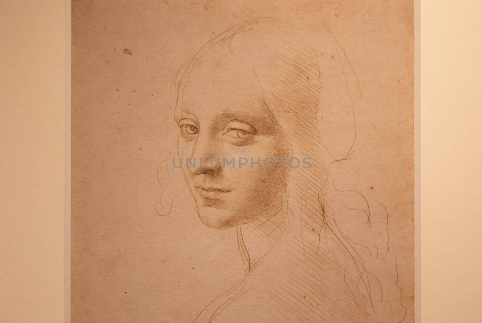 Turin, Italy - April, 2023: Leonardo da Vinci drawing, Royal Library - Face of a Girl, 1485