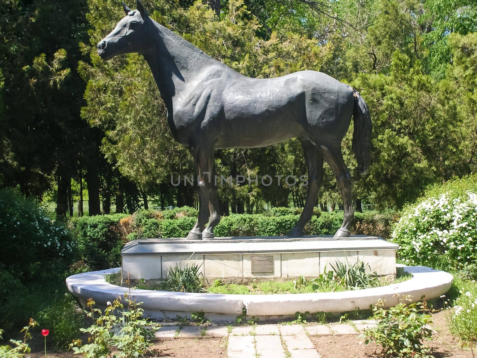 Novokubansk, Russia - July 12, 2013: A monument to the horse near the horse farm in Novokubansk.