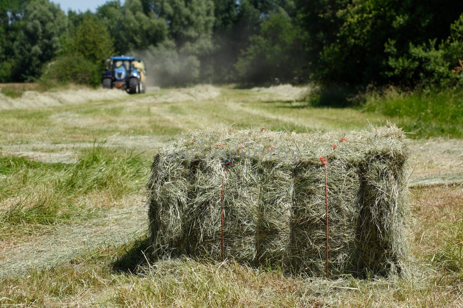 Straw bales on a cornfield with tractor during harvest, Lower Saxony, Germany