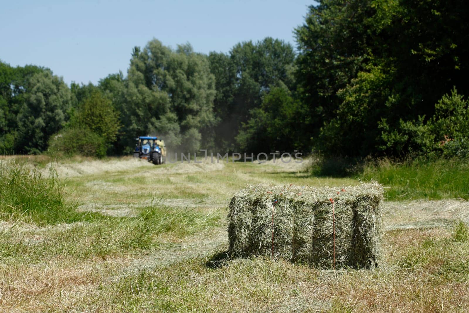 Straw bales on a cornfield with tractor during harvest, Lower Saxony, Germany