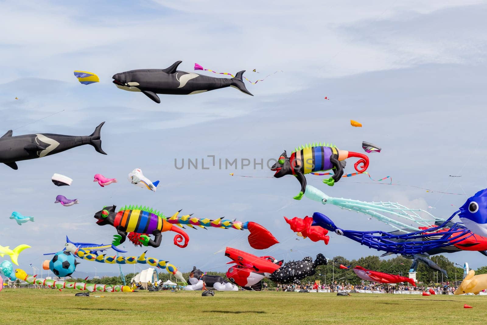 Hsinchu, Taiwan 10 September 2023: Many beautiful kite fly over the sky in Hsinchu city international kite festival at park