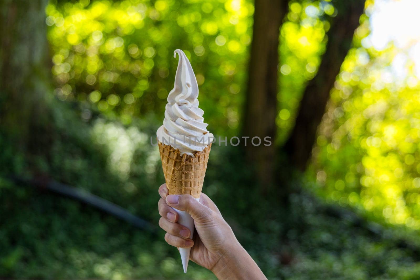 Hold with ice cream over the green background