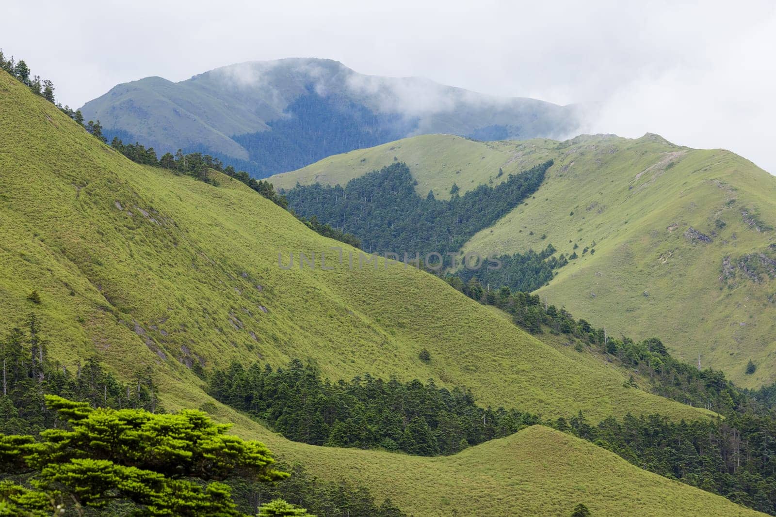 Foggy over the mountain in Hehuanshan