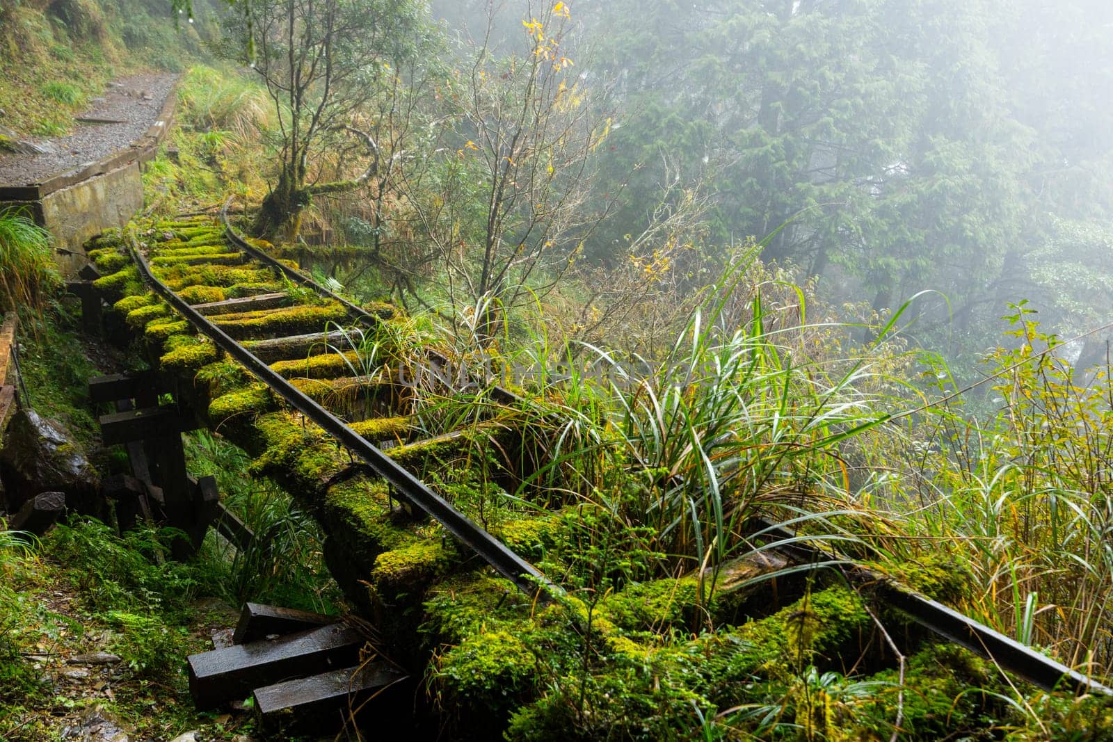 Hiking trail in Taipingshan of Yilan Jianqing Huaigu Trail