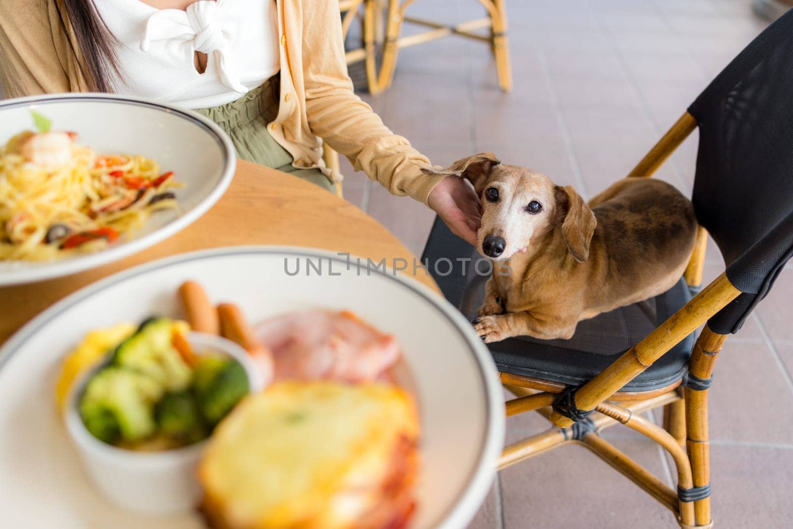 Woman go to restaurant with her dog in shopping center