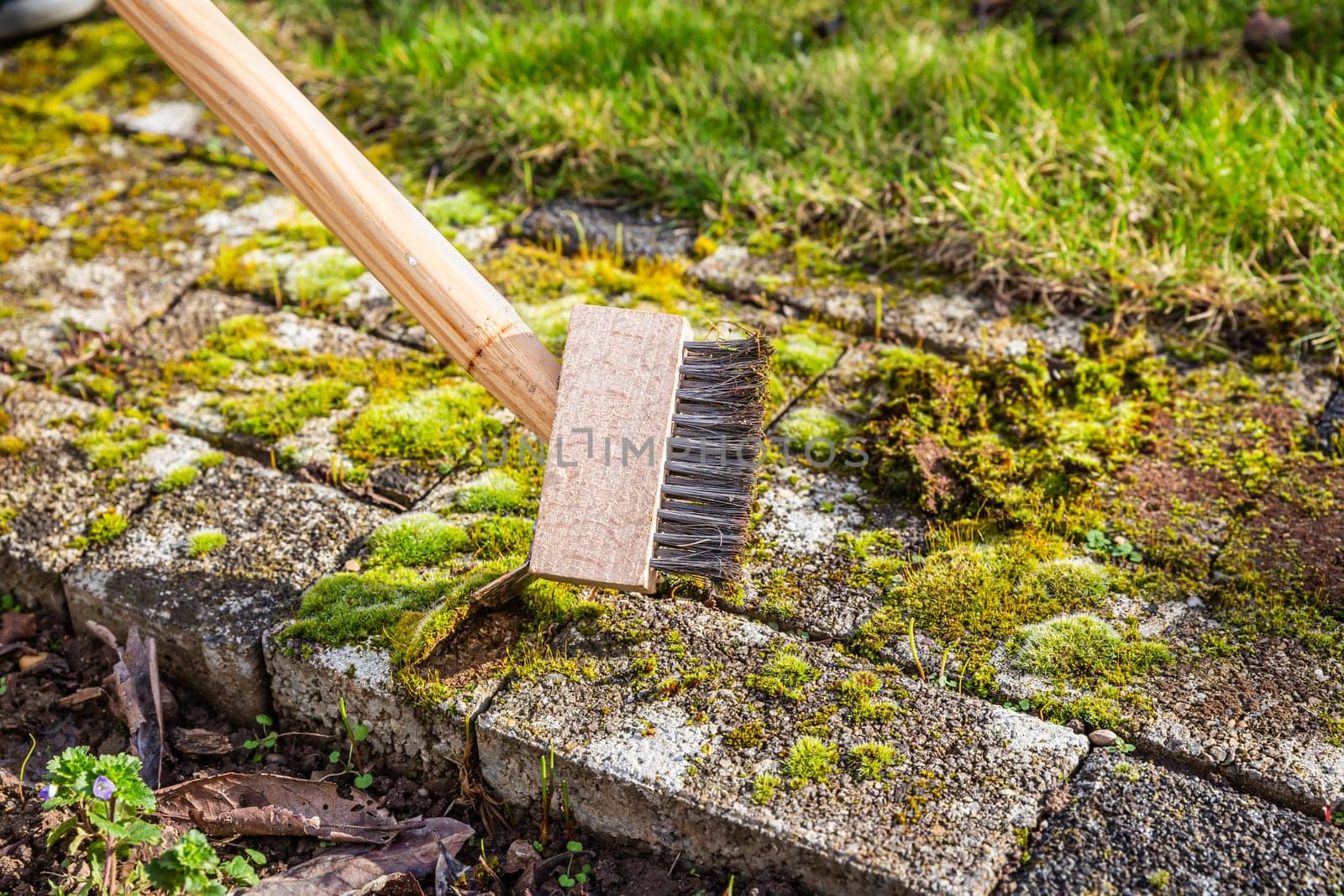 Removing and scratching moss out of paving stones, cleaning terrace and patio