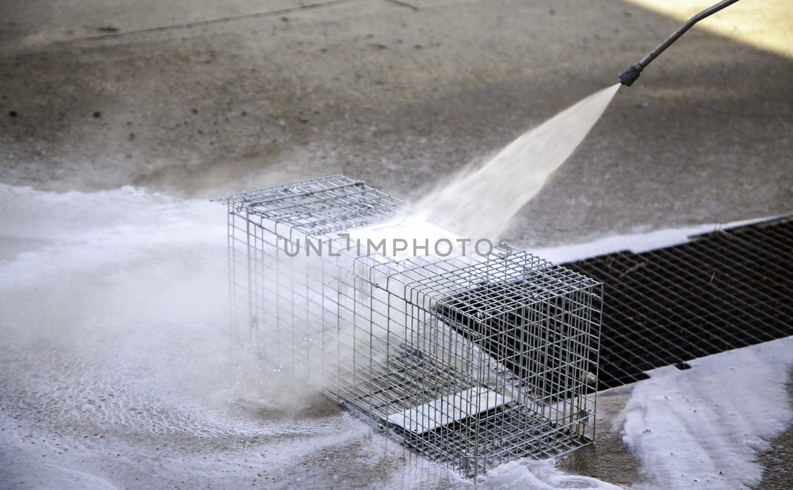 Detail of pressure cleaning, hygiene and disinfection