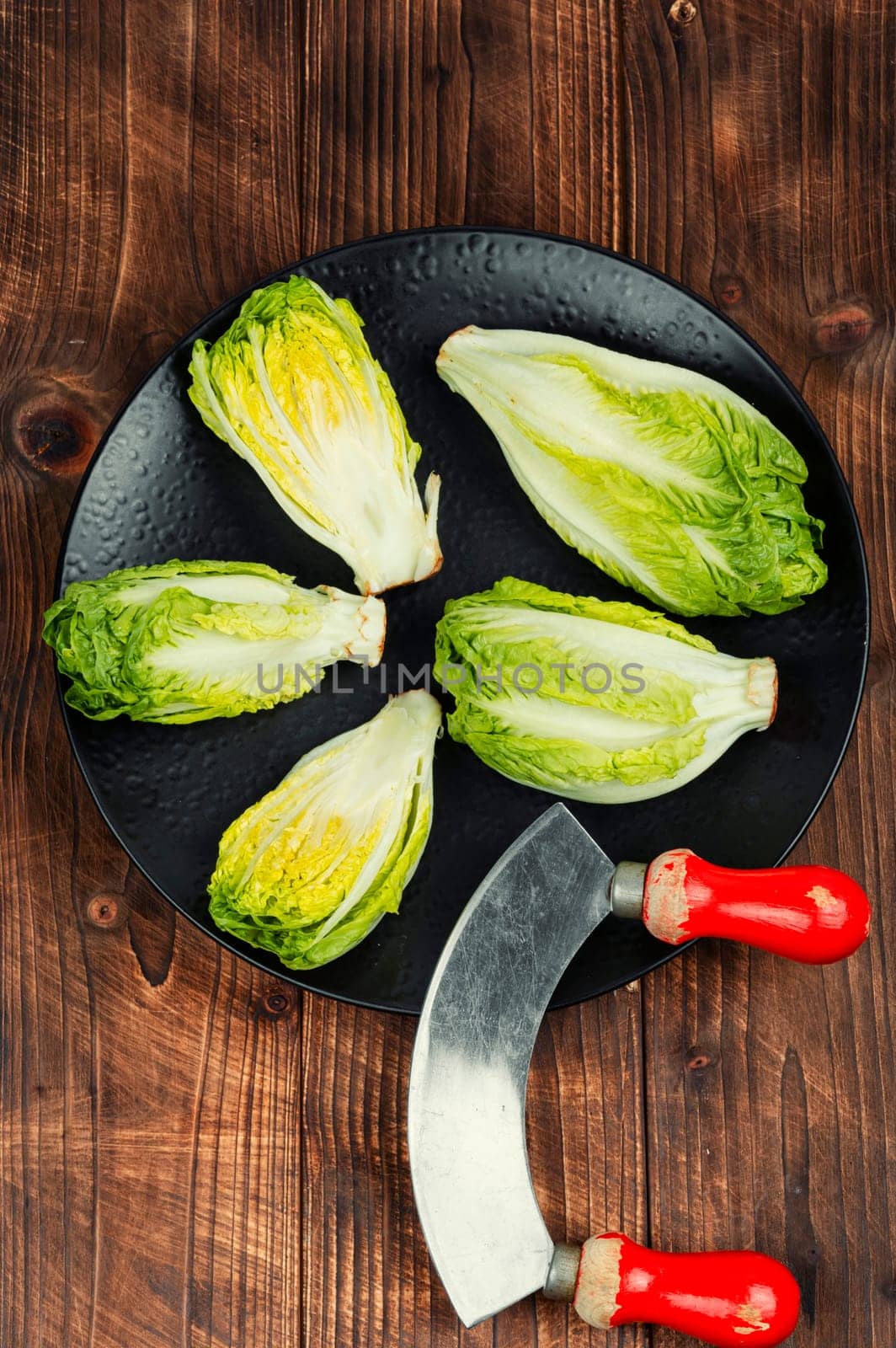 Raw green Romaine lettuce hearts. Baby cos lettuce leaves.