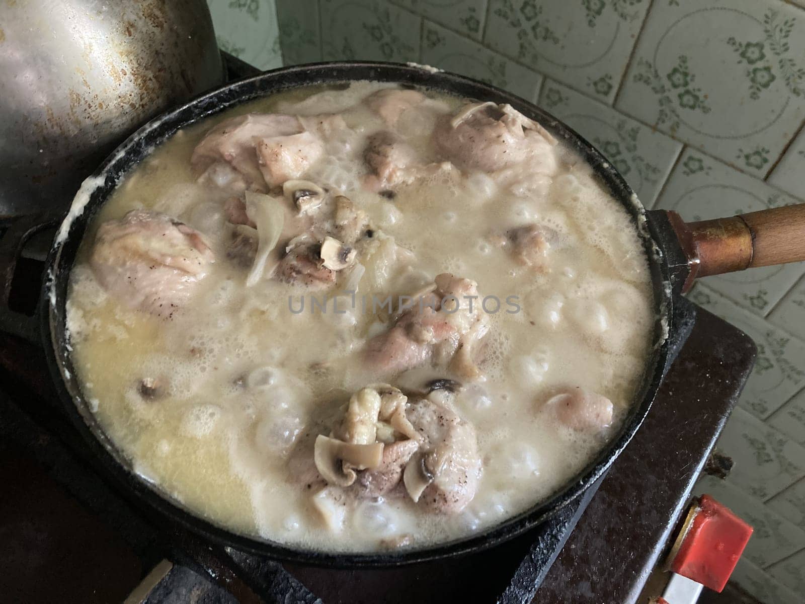 Chicken fillet stewed in the  mushroom sauce