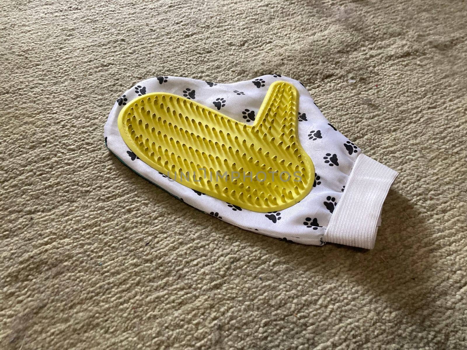 Using a glove to the remove cat hair from the carpet