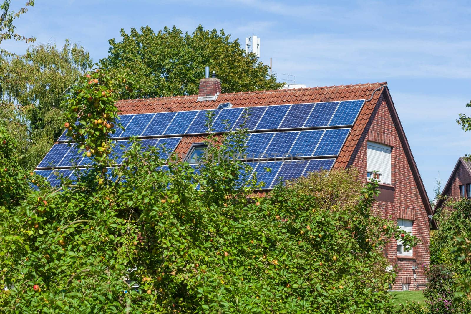 Modern residential building with solar roof and apple trees, Wunstorf, Lower Saxony, Germany