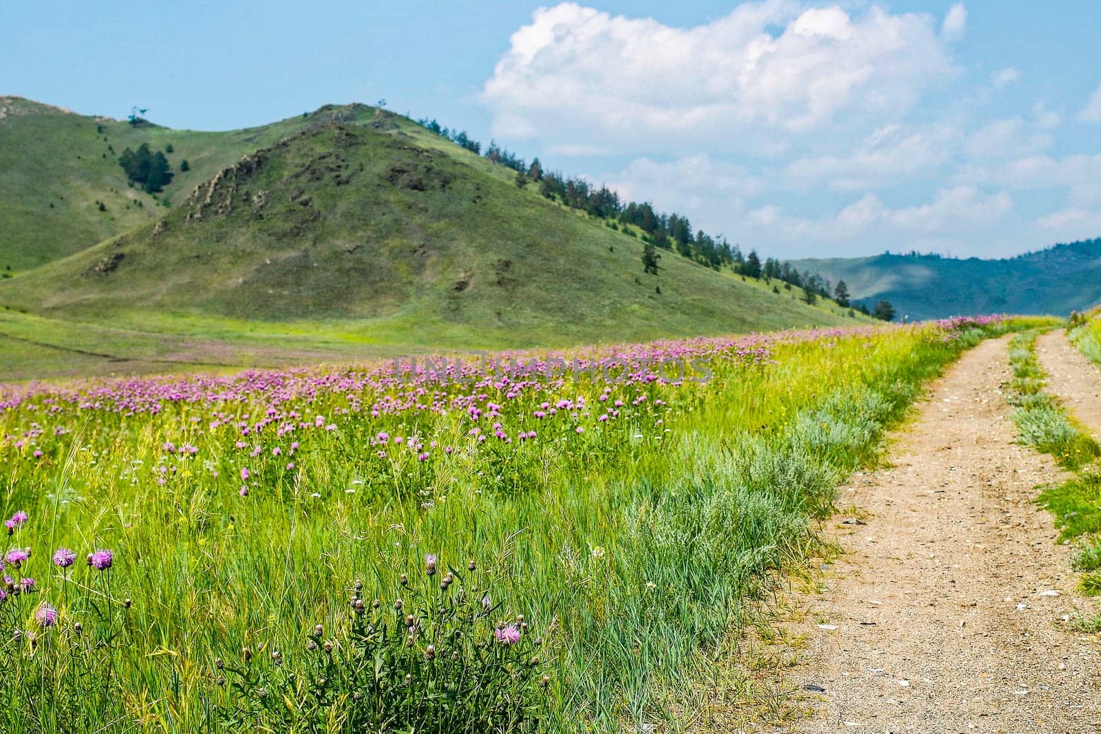Landscape meadows and pastures of the Baikal National Park. Landscape meadows and pastures of the Baikal National Park.