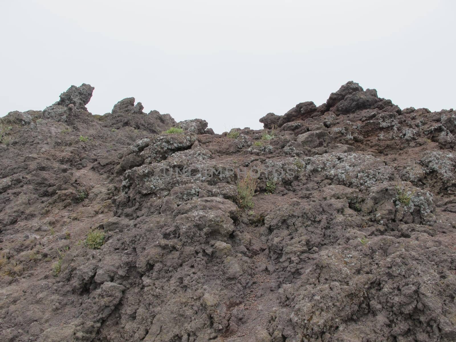 Vesuvius, a walk to Vesuvius tour for tourists.
