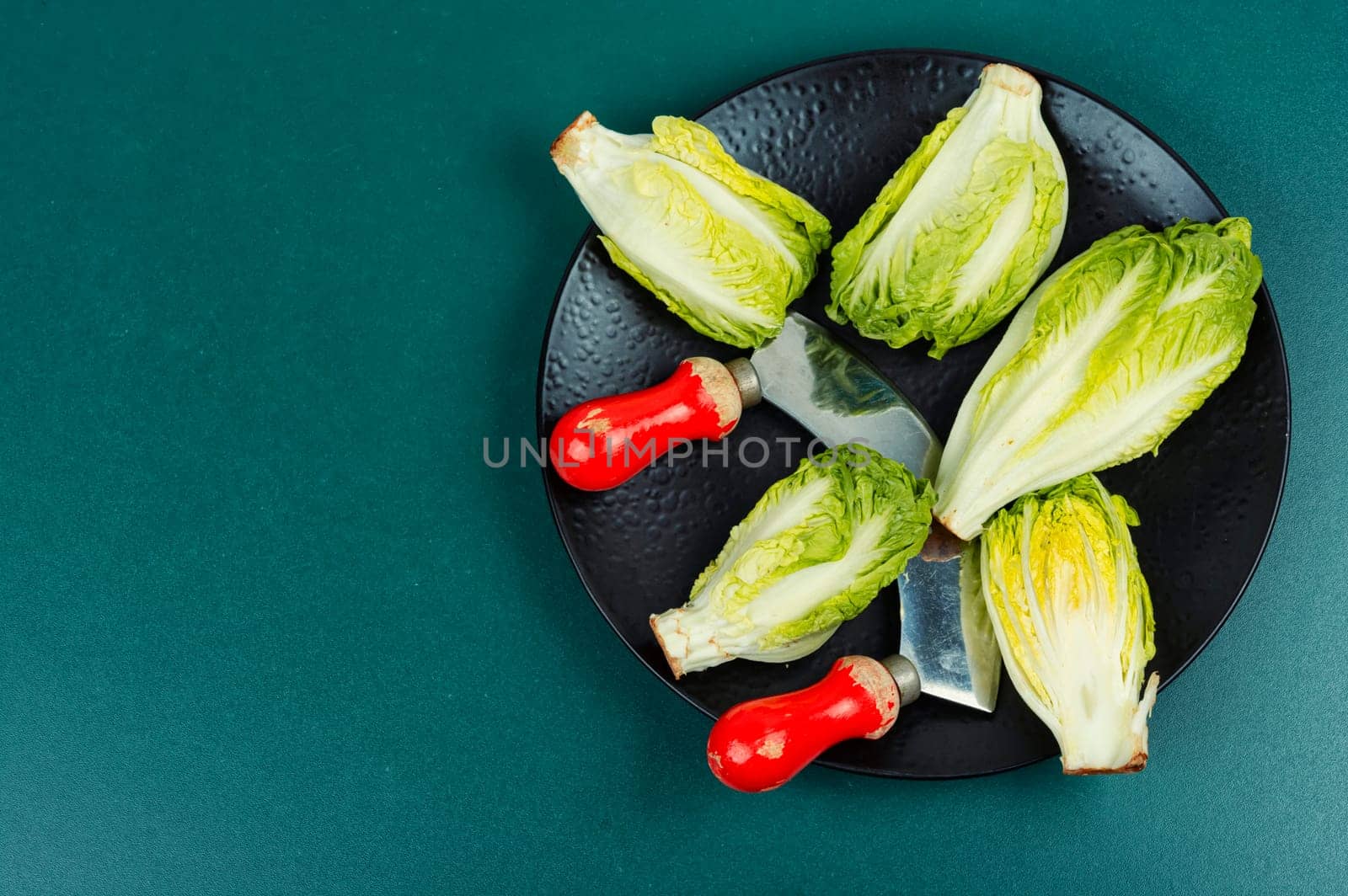 Fresh green Romaine lettuce hearts or Lactuca sativa. Copy space.